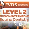 Level 2 Equine Dentistry - Intermediate