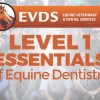 Level 1 Essentials of Equine Dentistry