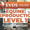 Level 1 Equine Reproduction - Fundamentals