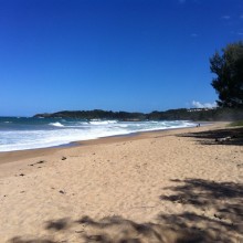 Opal Cove and the Coffs Coast